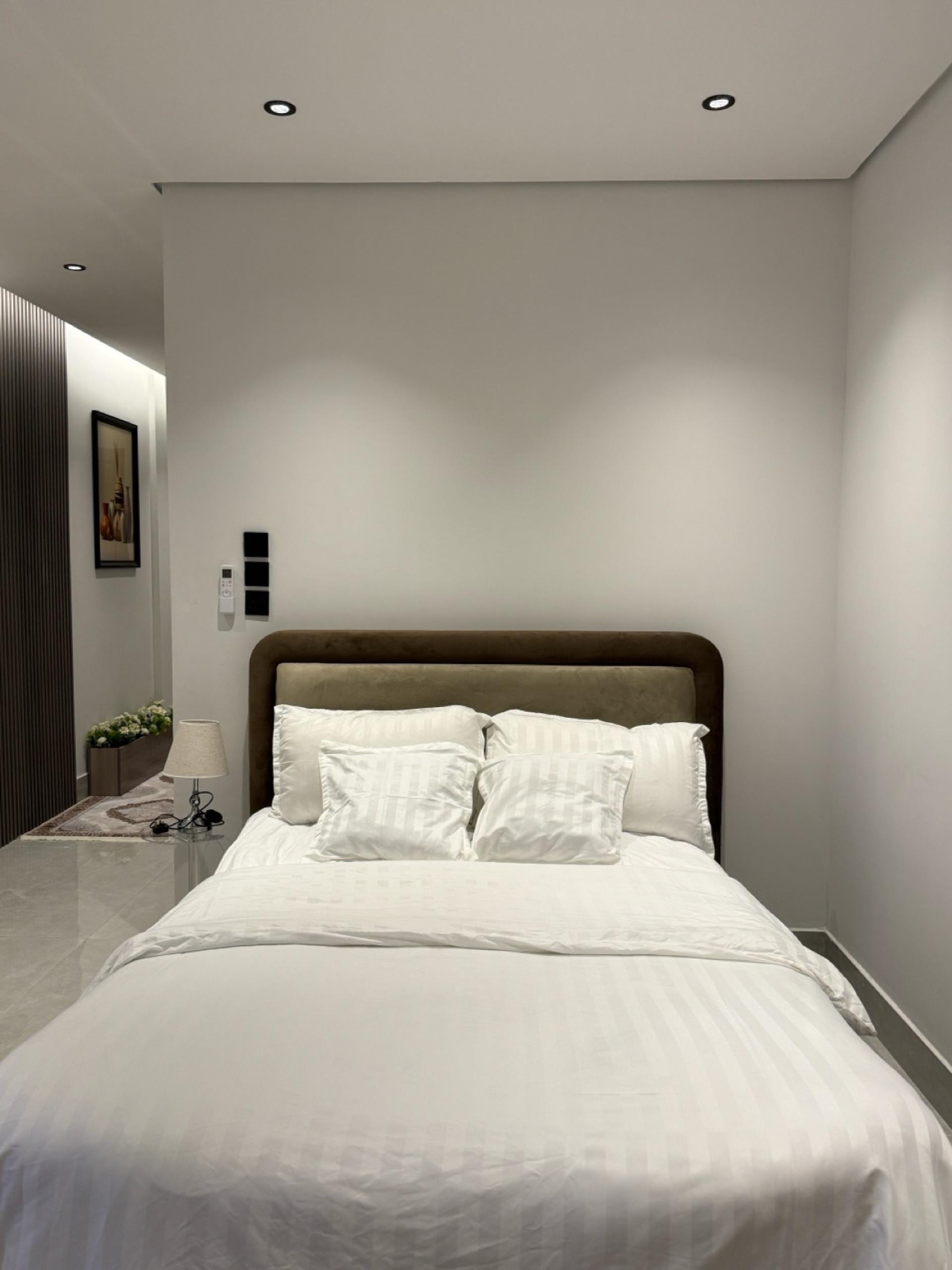 استديو الأرنْ الخبر 11