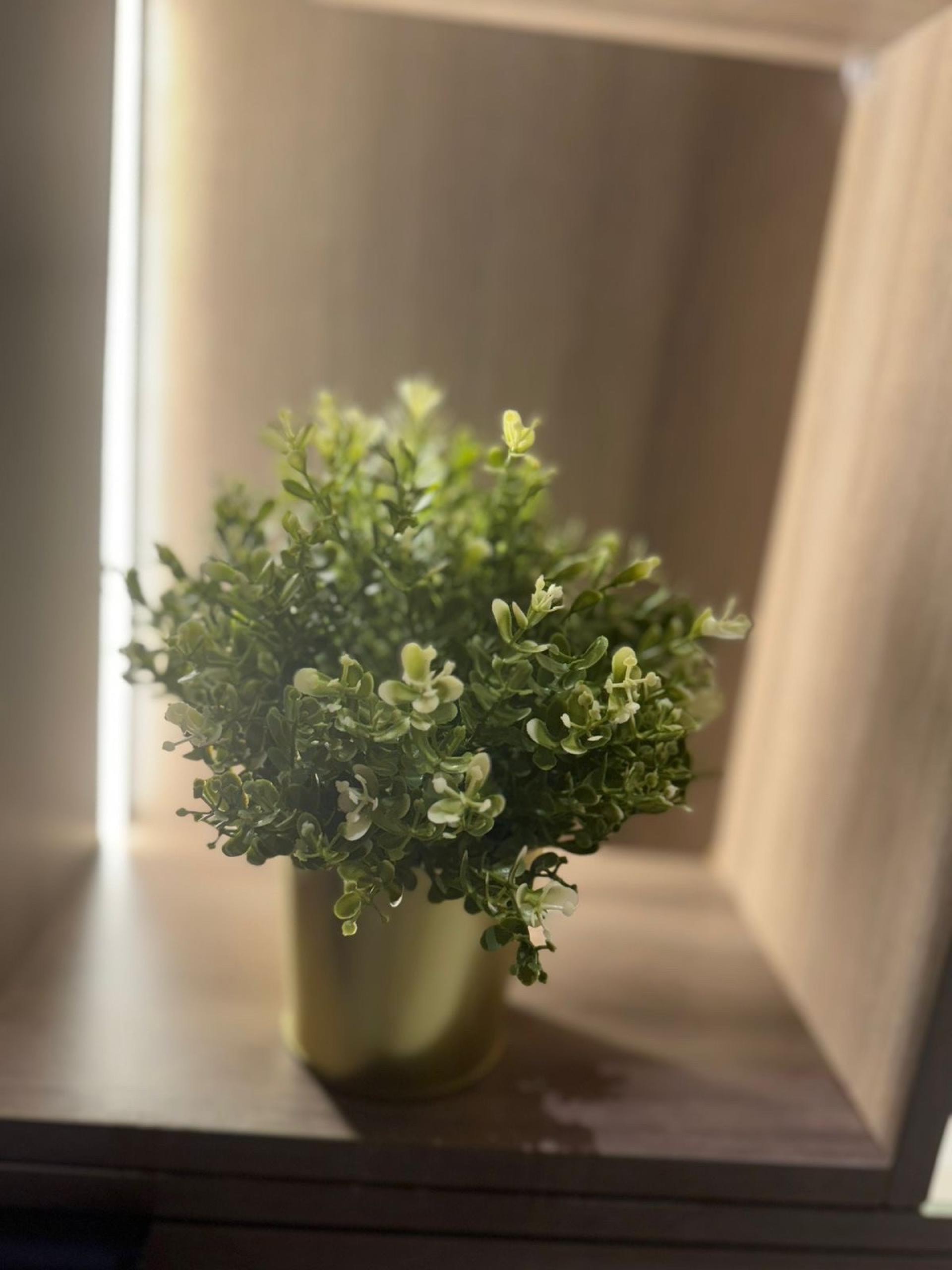 عش المدينة  403City Nest 5