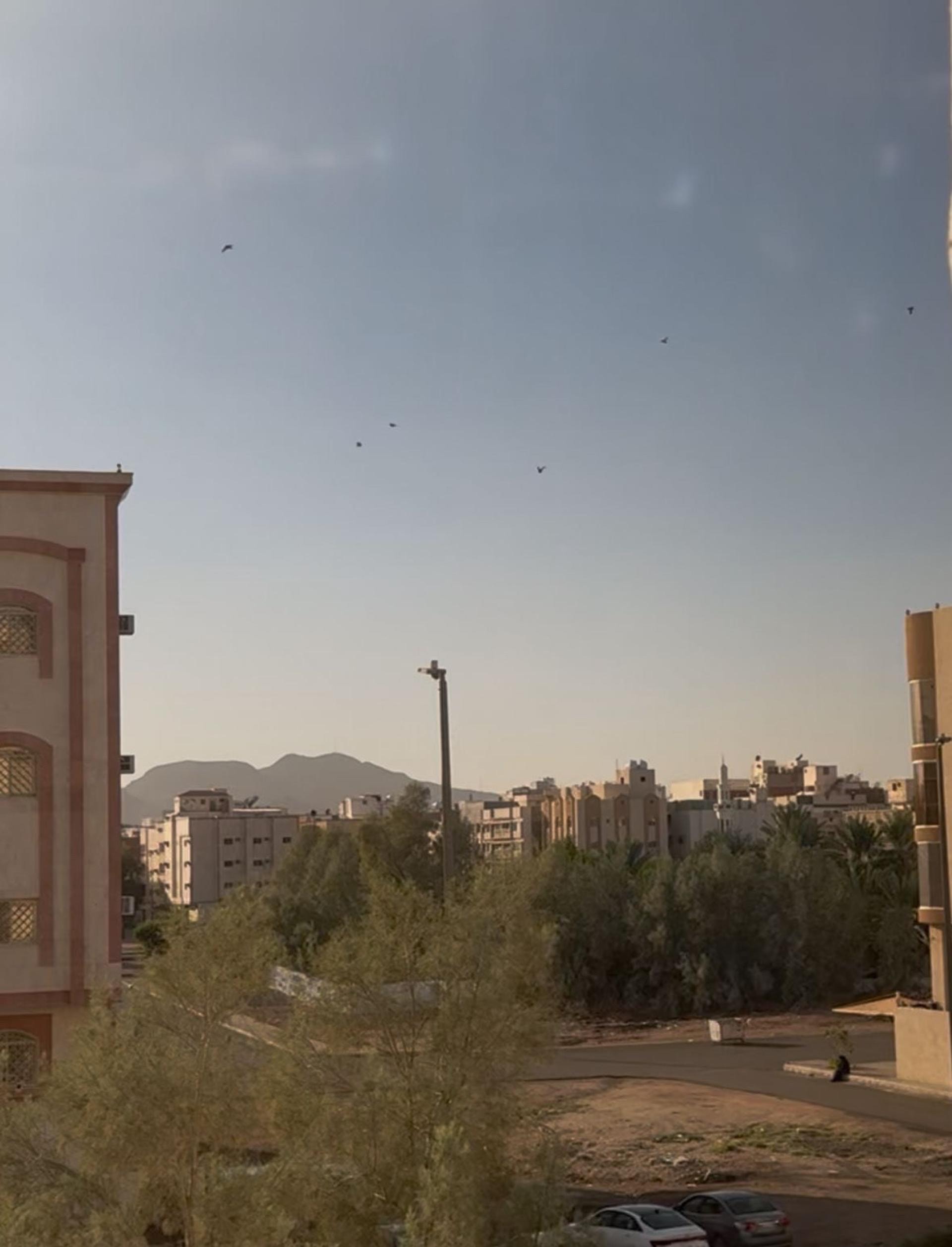 عش المدينة 201City Nest 4