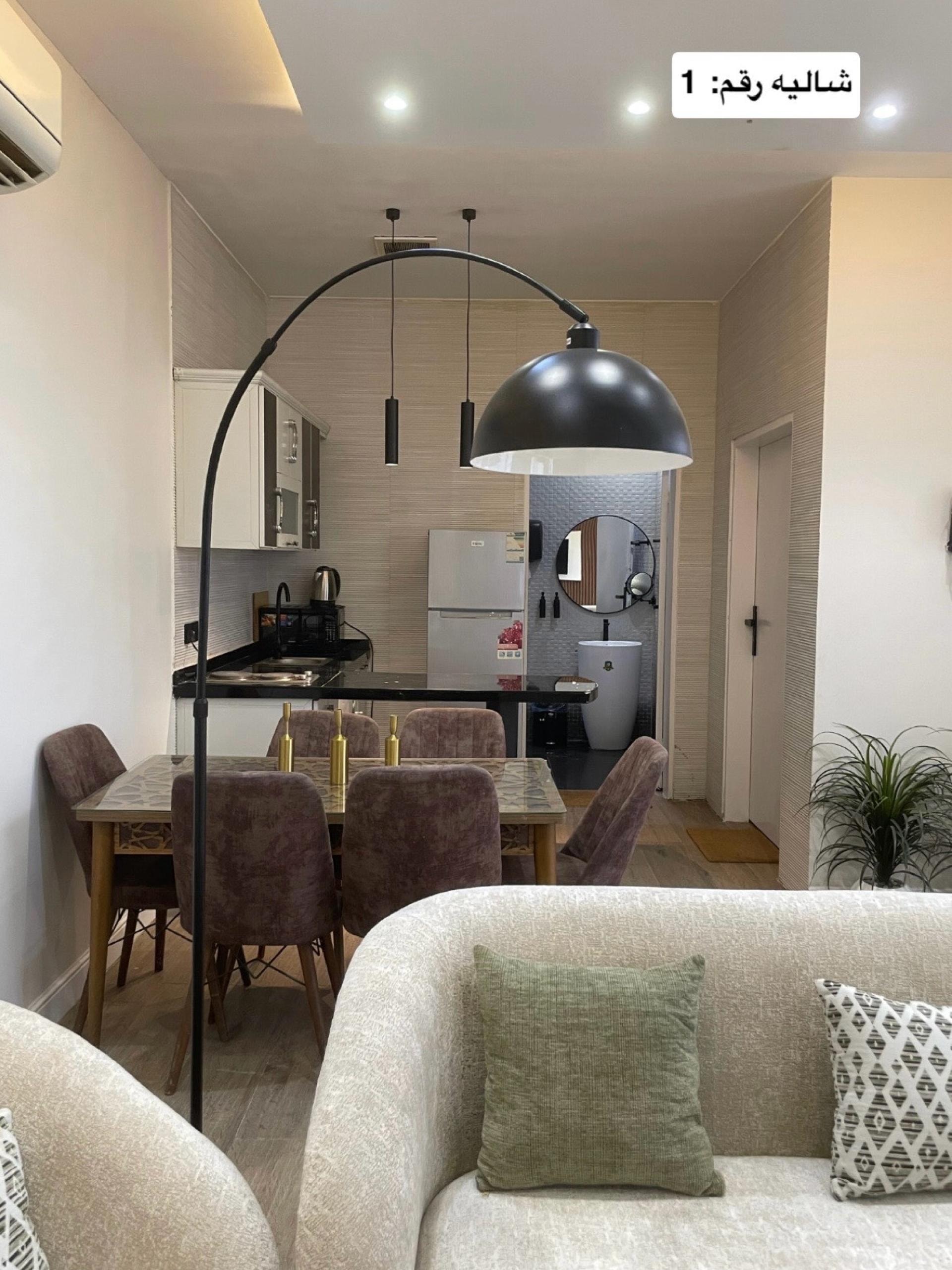 شاليه مودرن بمسبح 8