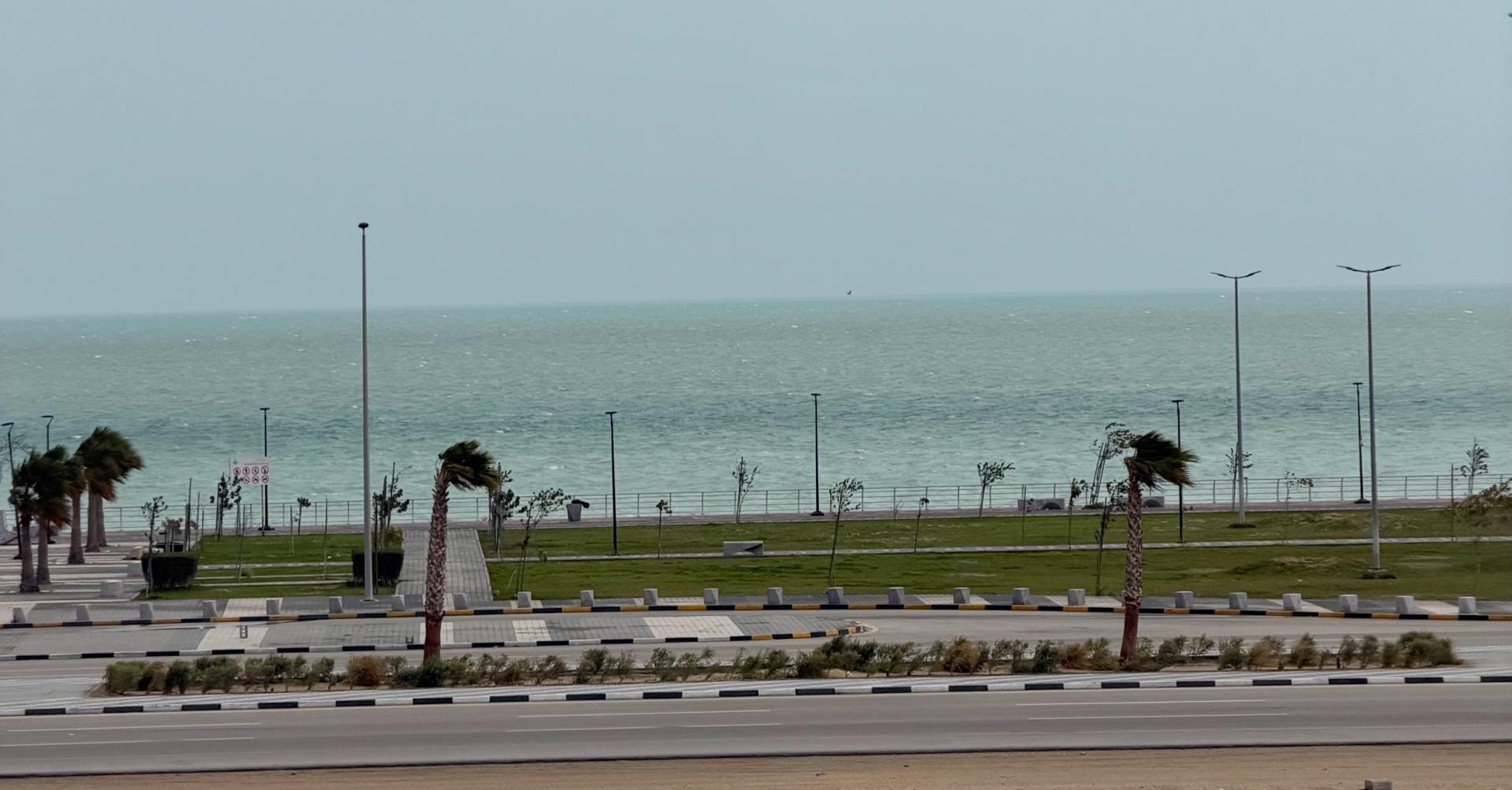 Panoramic Elegant Seaview 2BR Balcony 8