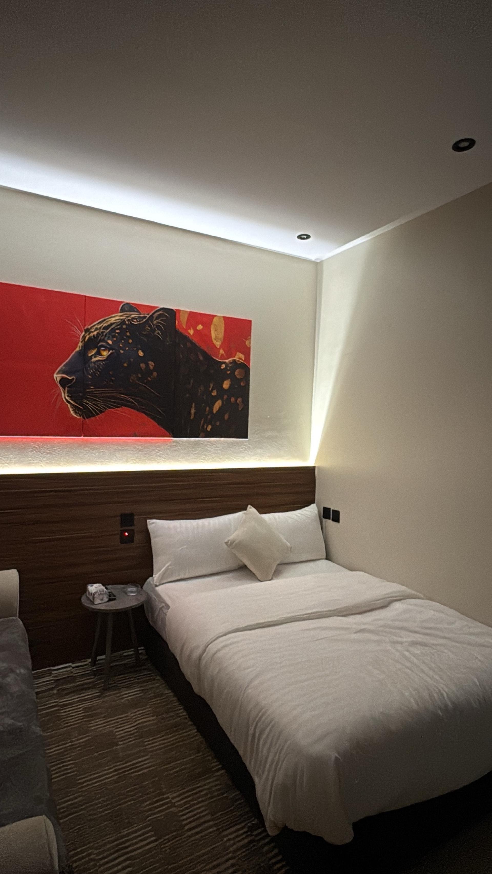 استديو فاخر دخول ذاتي, حي المونسية, الرياض 2