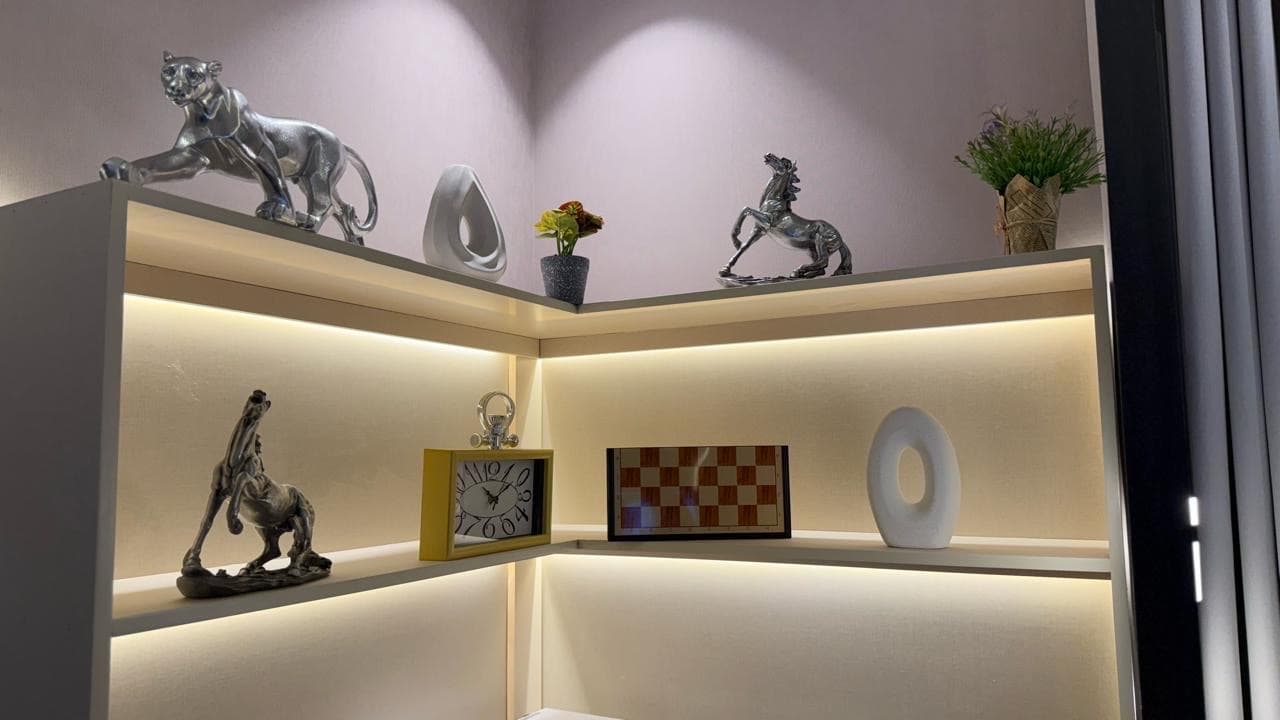 شقه دخول ذاتي 4